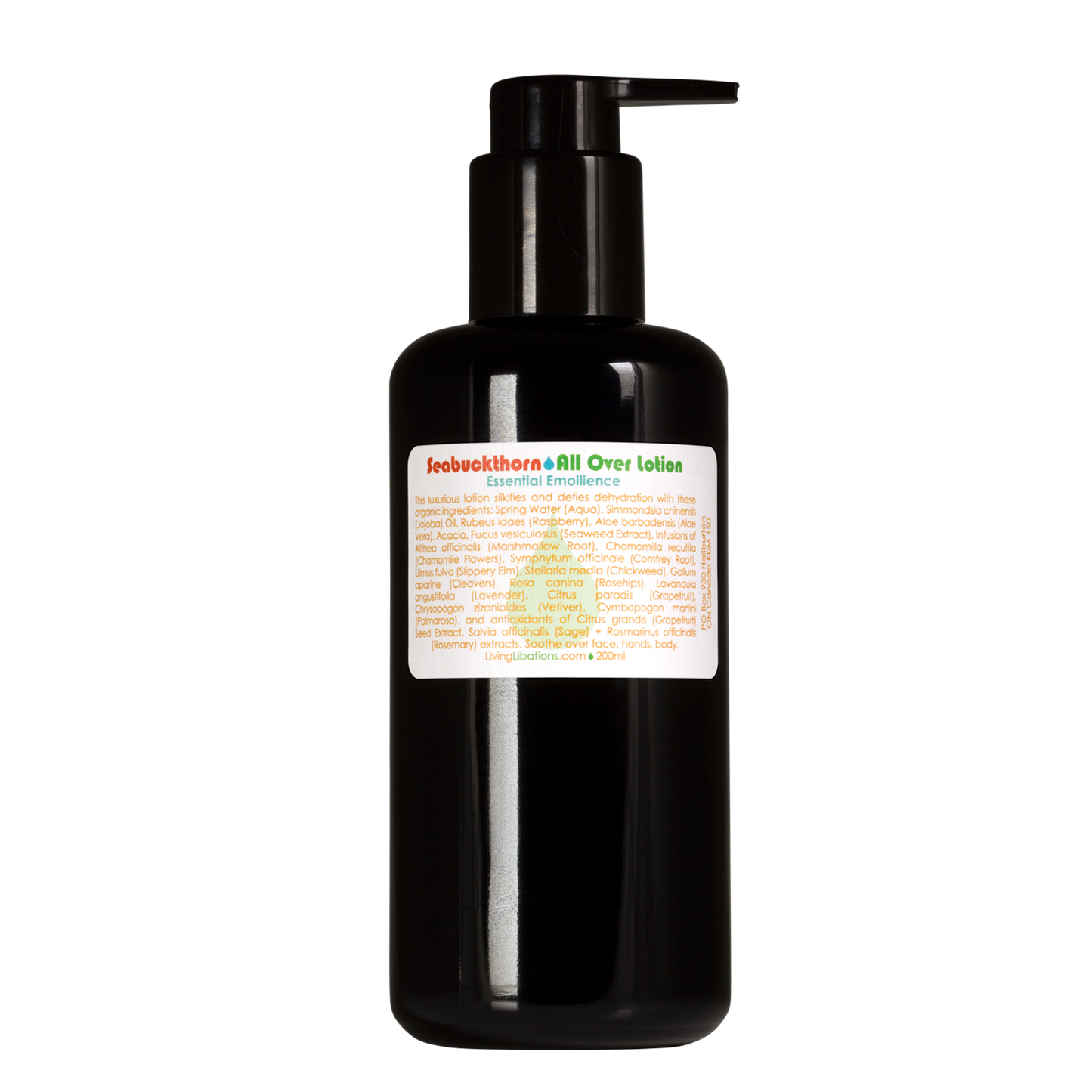 Seabuckthorn Lotion