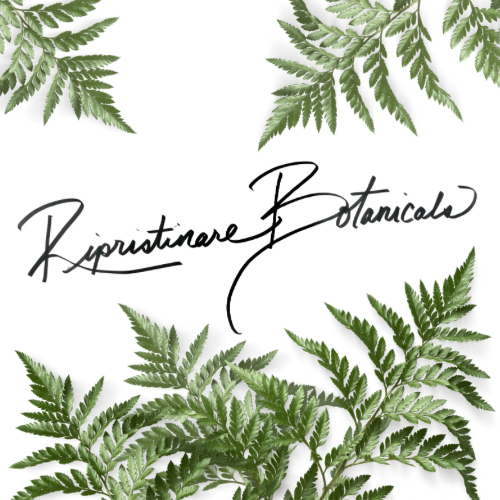 Balsam & Frankincense - Hydrating Foot Balm & Mask